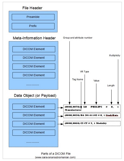 Parts of a DICOM File